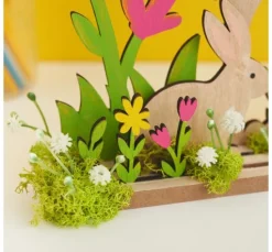 Acker-Witwenblume "Evergreen"