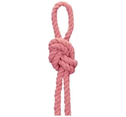 Anchor Crafty