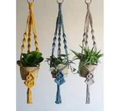 Anchor Crafty