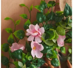 Apfelblüten Zweig