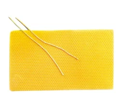 Bienenwachs-Wabenplatten, 31 x 18 cm