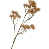 Blütenstand-Zweig "Liliana"