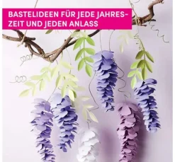 Buch 