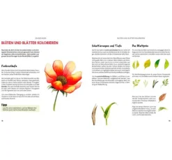Buch "Mini Watercolor – Blumen"