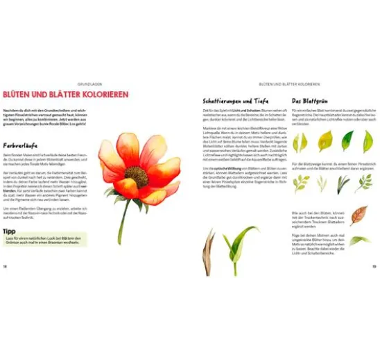 Buch "Mini Watercolor – Blumen"
