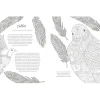 Buch "Winterliche Vogelwelt"