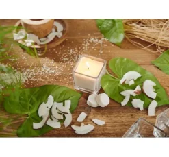 Candle Drops
