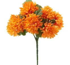 Chrysanthemen Bund 