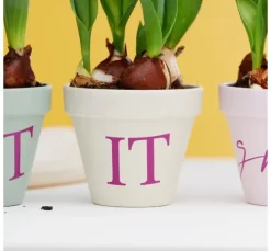 Cricut Selbstklebende Vinylfolie 