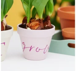 Cricut Selbstklebende Vinylfolie 