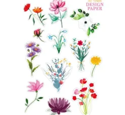 Design Paper 