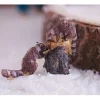 Diamant-Schnee