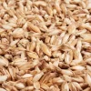 Dinkelspreu 250g