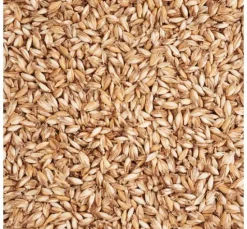 Dinkelspreu 250g