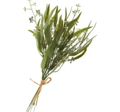 Eukalyptus-Bund mit Blüten