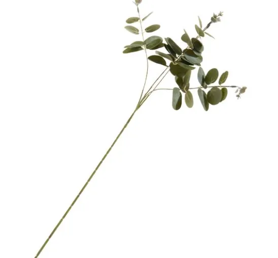 Eukalyptus-Zweig "Ava"