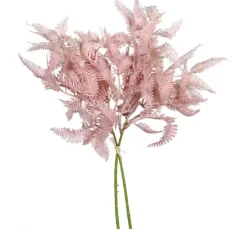 Farn Zweig "Rosee"