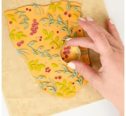 FIMO soft Set