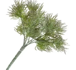 Flechten-Pick