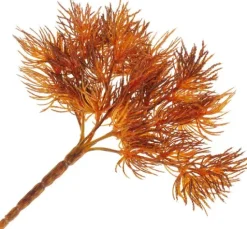Flechten-Pick "Vera"