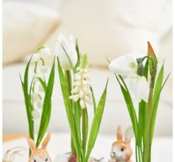 Frühjahrsblumen Mix mit Zwiebel
