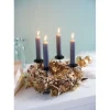 Getrockneter Ruscuskranz "Gold Wash"
