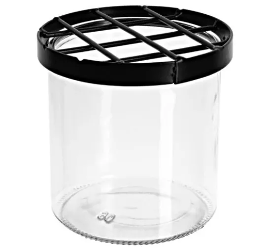 Glasvase mit Steckgitter