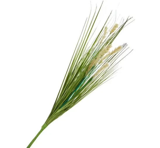 Gras mit Fruchtstand