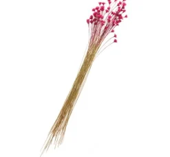 Hillflower