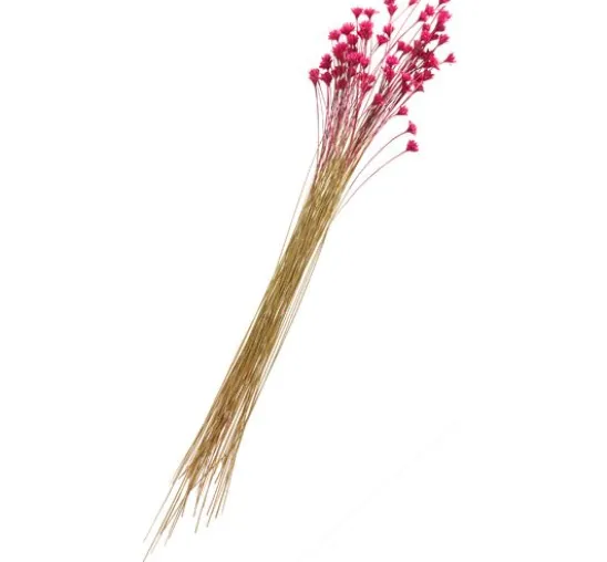 Hillflower