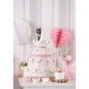 Hochzeitspaar "Just Married"