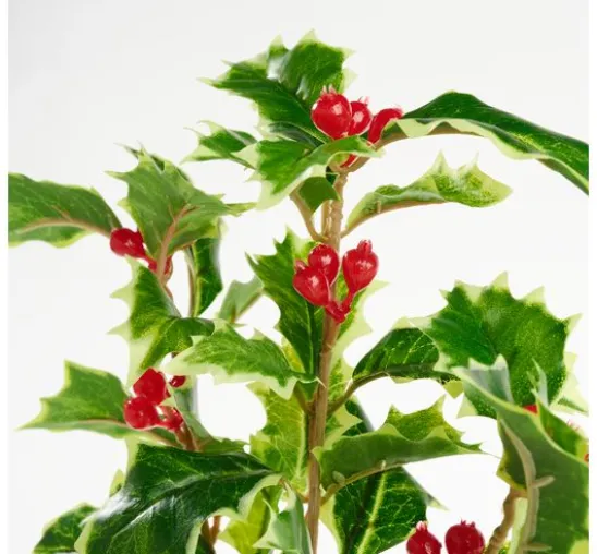Ilex Zweig mit Beeren, 40 cm