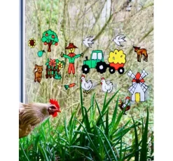 KiDS Window Color