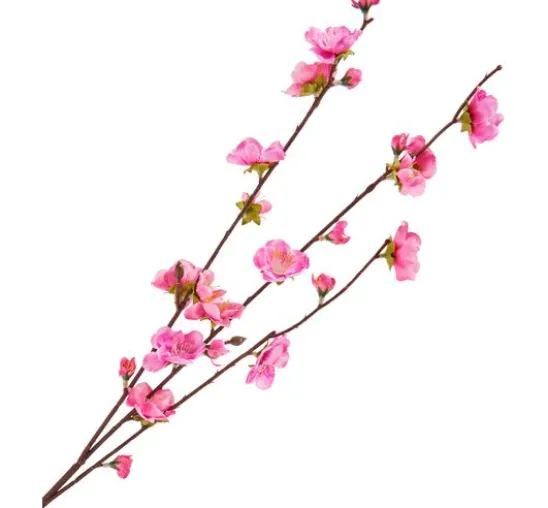 Kirschblüten Zweig