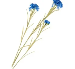 Kornblumen-Pick