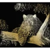 Kratzbild "Gepard"