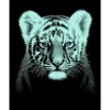 Kratzbild "Tigerbaby"