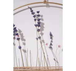 Lavendel natur blau