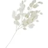 Lunaria Zweig mit Glitzer