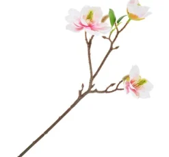 Magnolien-Pick mit 3 Blüten