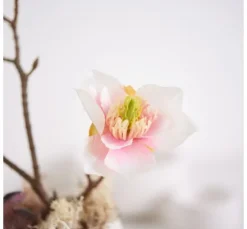 Magnolien-Pick mit 3 Blüten