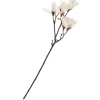 Magnolien-Pick mit 6 Blüten