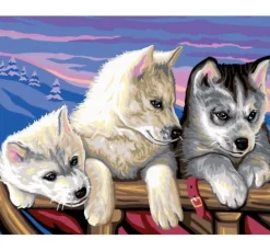 Malen nach Zahlen "Huskies"