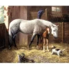 Malen nach Zahlen "New Friends"
