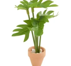 Miniatur Pflanze "Monstera"