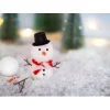 Mini Bastelset Wichteltür "Schneemann"
