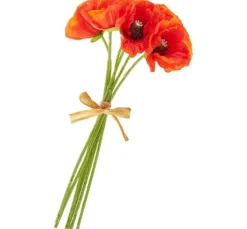 Mohnblumen-Bund, orange
