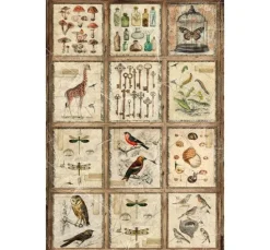 Motiv-Strohseiden-Sortiment "Cabinet of Curiosities", 4er-Set
