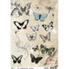 Motiv-Strohseide "Typographic - Butterfly"