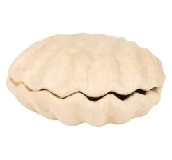 Muschelbox, Pappmaché
